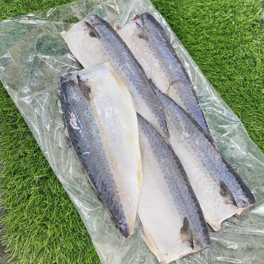 薄鹽鯖魚片