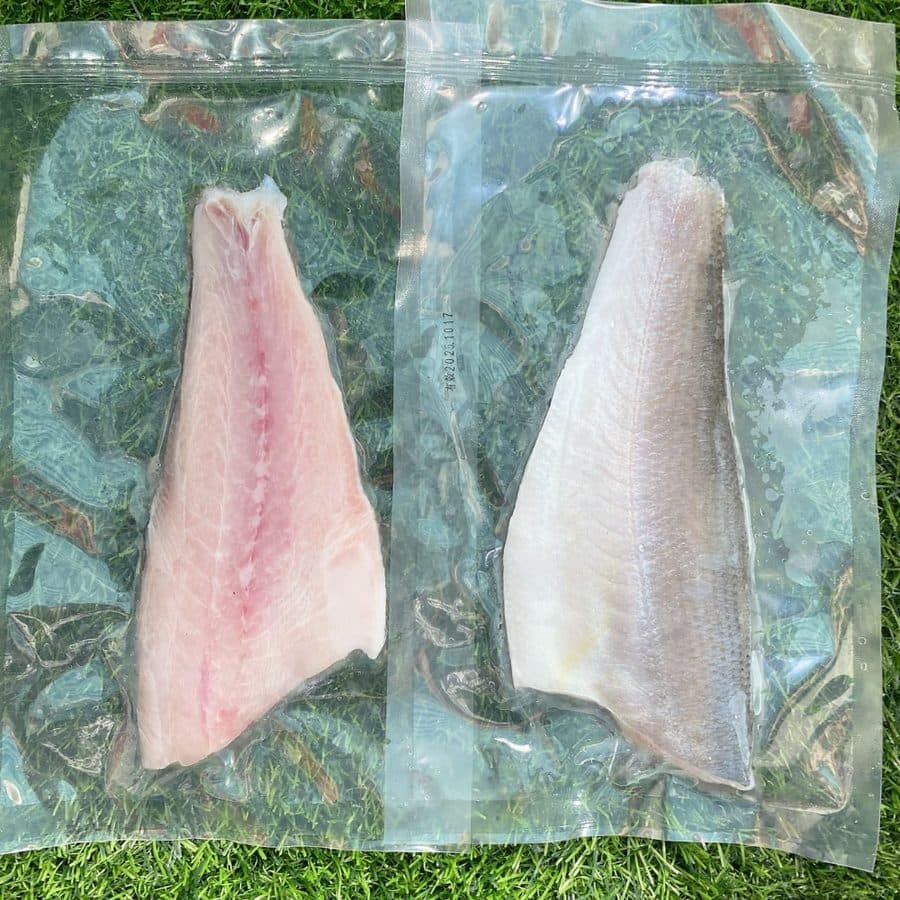 午仔魚清肉魚排