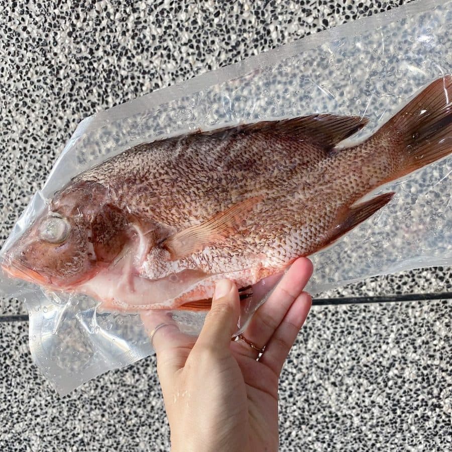 紅魚